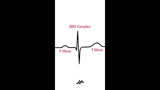 The Cardiac Cycle PQRST [upl. by Vevina]