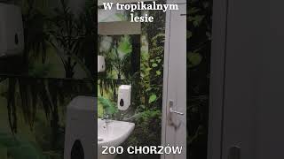 łazienka pawilon las tropikalny zoo chorzów shorts [upl. by Janelle]