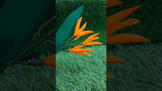 Heliconia Flower  DIY Tropical plant  Paper Flower [upl. by Gar]