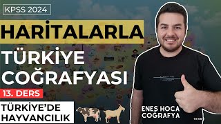 Haritalarla Türkiye Coğrafyası I Türkiyede Hayvancılık I Enes Hoca kpsscoğrafya [upl. by Corvese]