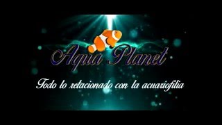 como hacer un rebosadero para tu acuario overflow diy [upl. by Akcirahs]