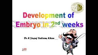 Development during the second week of development  Dr Yusuf [upl. by Eldreeda]