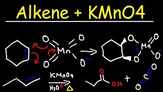 Alkene  KMnO4 Reaction [upl. by Loredo]