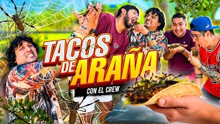 Los tacos más exóticos que hemos probado con el crew  qué tal saben [upl. by Nahij]