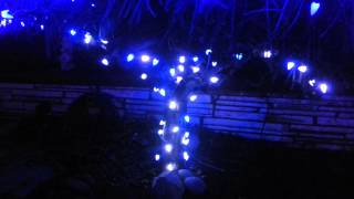 Lighted Weeping Mulberry Tree for Christmas [upl. by Amara436]