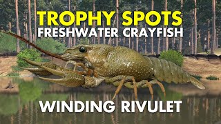 Russian Fishing 4 TROPHY FRESHWATER CRAYFISH SPOT Winding Rivulet [upl. by Norha]