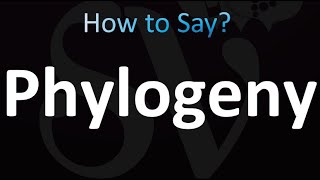 How to Pronounce Phylogeny Correctly [upl. by Naloj91]