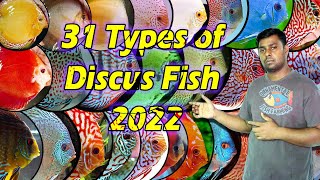 31 Types of Discus Fish 2022  Famous Discus Fish Variety in the World [upl. by Marsha]