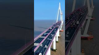 Expansion Gaps of bridge  🤷🤯 facts knowledge science respect safety amazing youtubeshorts [upl. by Anagnos]