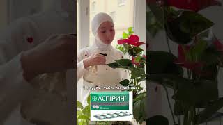 раушанмуратаалыева plants растения гүл garden [upl. by Georgeanna]