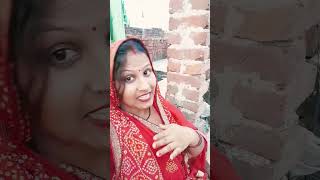 Gori Hai Kalaiyan bollywood song hindisong bollywoodsongs shortvideo [upl. by Yttik]