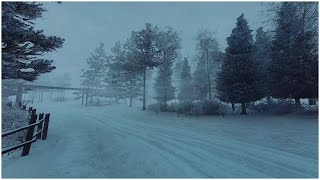 Freezing Blizzard Sounds for Sleeping in the Mountain┇Howling Wind Storm amp Loud Blowing Snow [upl. by Saideman136]