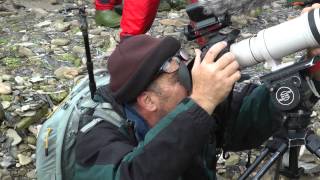 Svalbard  Spitsberg  July 2014 [upl. by Eidnac]