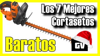 🌿 Los 7 MEJORES Cortasetos BARATOS de Amazon 2024✅CalidadPrecio Eléctricos  A batería  Altura [upl. by Elbas324]