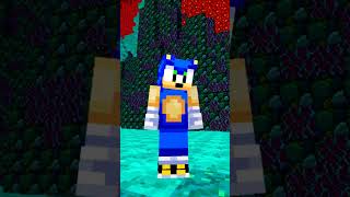 Sonics A Villain Not A Monster In Minecraft minecraft minecraftshorts sonic [upl. by Ursi580]