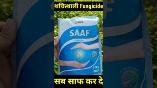 Saaf Fungicide साफ फफुंदनाशक Carbendazim  Mancozeb साफ कवकनाशी पाउडर fungicides shorts [upl. by Shotton]