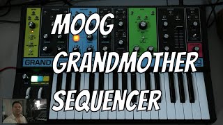 How to Use the Moog Grandmother Sequencer [upl. by Marchelle]