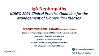 IgA Nephropathy KDIGO 2021 Guidelines  English Language  Dr Gawad [upl. by Iretak658]