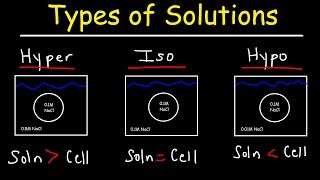 Hypertonic Hypotonic and Isotonic Solutions [upl. by Gauthier]