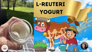 LREUTERI YOGURT Fermented Dairy [upl. by Immac]