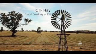 CTF Hay making [upl. by Atteram403]