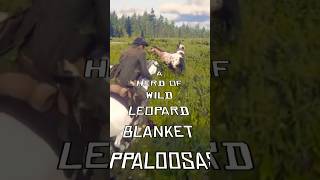 Chasing A Herd of Wild Leopard Blanket Appaloosas Near Hanging Dog Ranch in Red Dead Redemption 2 [upl. by Inattirb649]