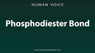 How To Pronounce Phosphodiester Bond [upl. by Pompei751]