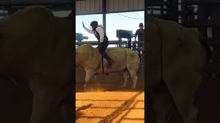 949 Smooth Whiskey vs John Crimber  PBR Bull Rider [upl. by Imis]