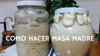 Como hacer masa madre  Receta casera para hacer pan en casa [upl. by Amaerd]