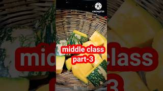 middle class part 3middle class vs high classshortvideo shortsfeed shorts minivlogmyfirstvlog [upl. by Llevol]