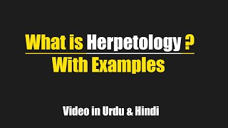 What is Herpetology with examples Urdu  Hindi [upl. by Ycniuqed]