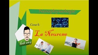 02 Tissu Nerveux la neurone  Neurophysiologie Bac Tunisie [upl. by Haggai]