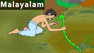 Be With Gratitude  പഞ്ചതന്ത്രകഥകൾ  Cartoon  Animated Stories [upl. by Nyrrad298]