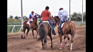 ☘️🐎 CARRERA ESTELAR DELA TARDE ENCARRIL DURANGO 2000 🐎🚨🍀 💥 LA DAMA 🆚 EL RUBICON 💥 300 y 350 VRS 🔥 [upl. by Jephum]