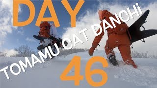 Neil Vlogs 20190218 Day 46 Tomamu Cat Danchi [upl. by Yezdnil]