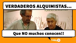 La botica de la abuela  REMEDIOS CASEROS para la tos  JARABE CASERO [upl. by Arrimat]