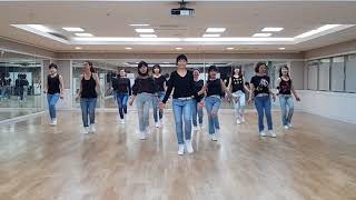 100 Easy Line Dance Beginner Level [upl. by Ytiak13]