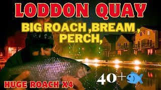 Coarse Fishing Loddon quay river chet southern broads feeder float big roach bream perch hybrids [upl. by Epner62]