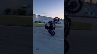 Scraping the Harley  Harley wheelies dyna fxdx fxdl Harley burnouts [upl. by Patman315]