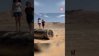 Watch People Take Pictures With Iranian Missile Landed In Southern Israel [upl. by Esyli]