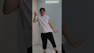 Stray Kids quotDOMINOquot Dance Cover  Practice Ver by Y KANG dance skz dancechallenge kpop [upl. by Nived473]