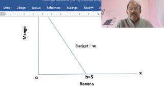 Budget line and Budget constraint [upl. by Theda592]