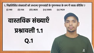 class 10 maths chapter 1 exercise 11 question 1 in hindi Guddiyaaaaaaa [upl. by Ibmab]