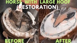 Shire Horse  Complete restoration  Shire Horse Restoration Compilation [upl. by Ynaffyt636]