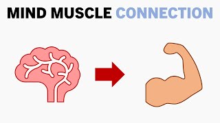 Should You Focus on the Mind Muscle Connection [upl. by Joh]