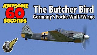 60 Seconds Of Awesome FockeWulf FW190 [upl. by Marsland470]