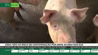 USDA Não há risco de contaminação por gripe aviária nos EUA [upl. by Miguel267]