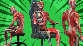 Ergonomics 101 How Gaming Chairs Support Good Back Health [upl. by Jagir]