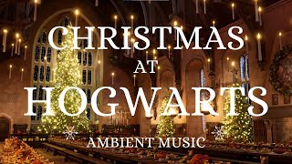 Harry Potter Christmas Music LIVE 247 🎵 Cozy Hogwarts Radio  Magical Holiday Vibes❄️✨Muggleproof [upl. by Tiphany]