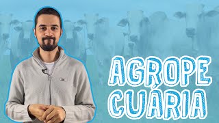 Aula Geografia  Agropecuária  Sistemas Agropecuários para o Enem e Vestibulares  STOODI [upl. by Adnahsal]